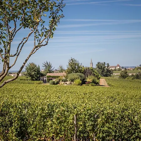 Bed & Breakfast Les Clefs De Troplong Mondot 4*